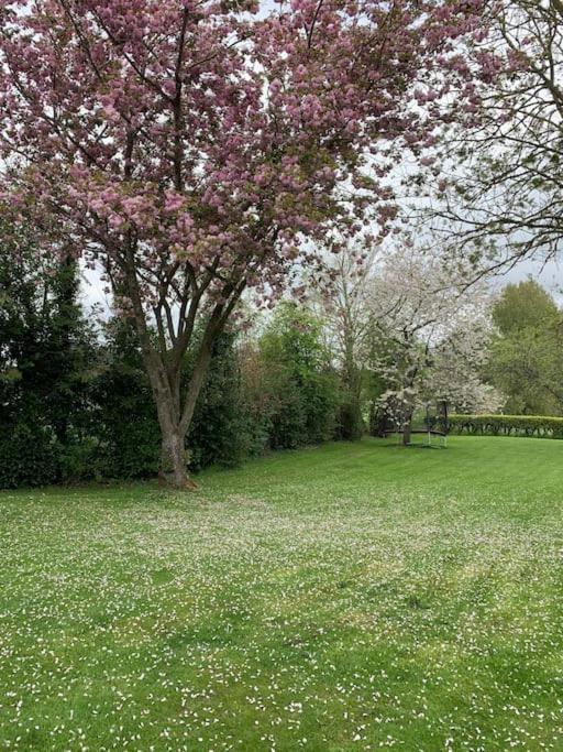 Le Nalousie Livry (Calvados) Exterior foto