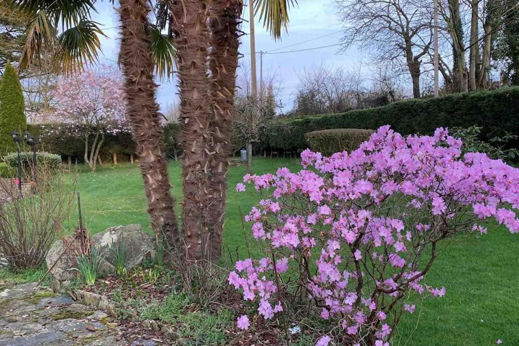 Le Nalousie Livry (Calvados) Exterior foto